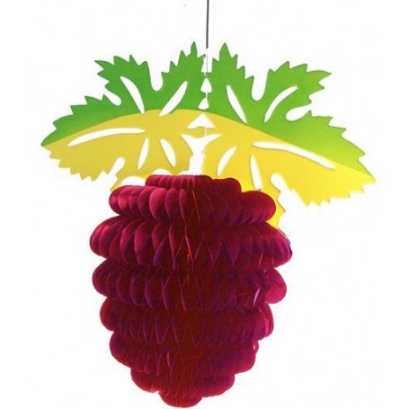 Grappe de raisin Bordeaux