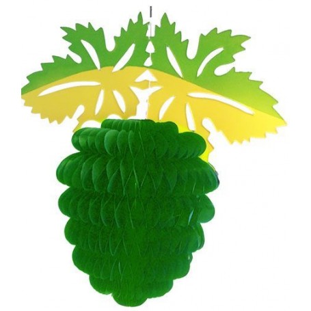 Grappe de raisin verte