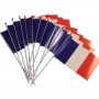 Lot 10 drapeaux France