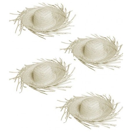 Lot 4 chapeaux paille