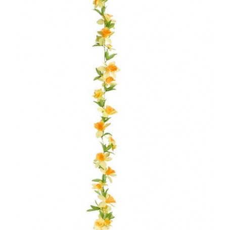 Guirlande de narcisses