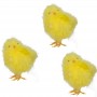 3 poussins jaunes