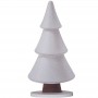 Sapin 2D