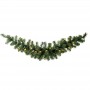 Jabot lumineux