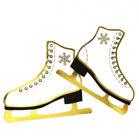 Suspension patins à glace