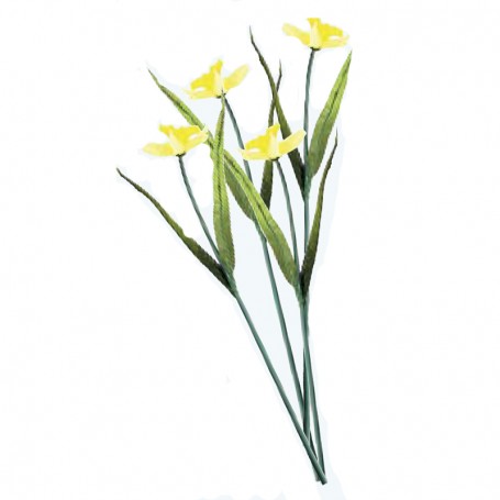 Narcisse géante 50 cm