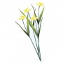 Narcisse géante 50 cm