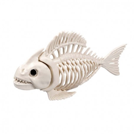 Squelette poisson 24 cm