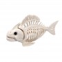Squelette poisson 24 cm