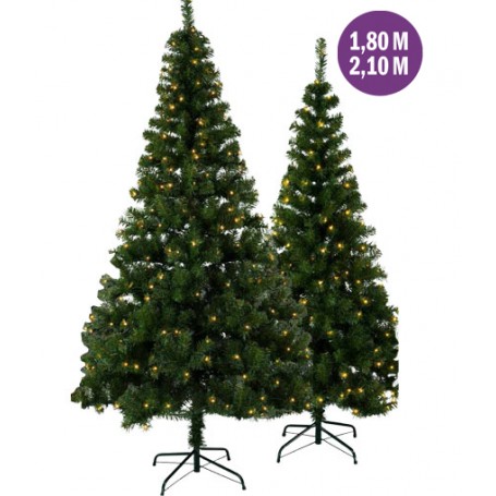 Sapin lumineux