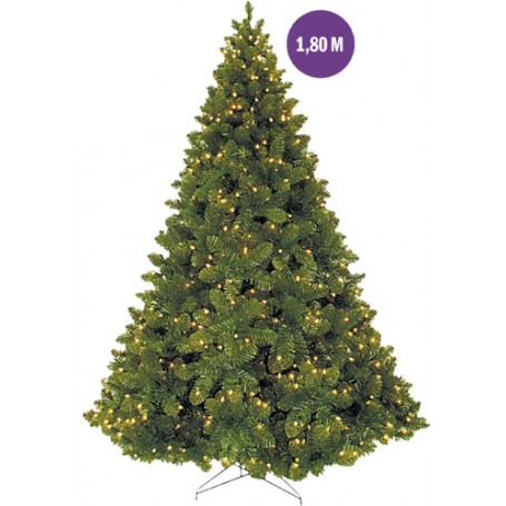 Sapin géant vert
