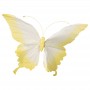 Papillon géant
