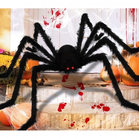 Araignée géante velue