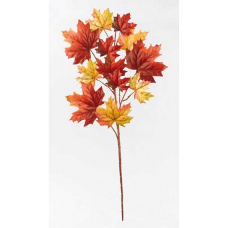 Branche de feuilles automne