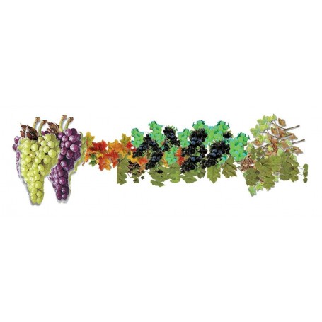 Kit Foire aux vins 2