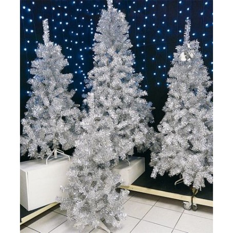 SAPIN ARGENT