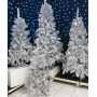 SAPIN ARGENT