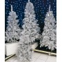 SAPIN ARGENT