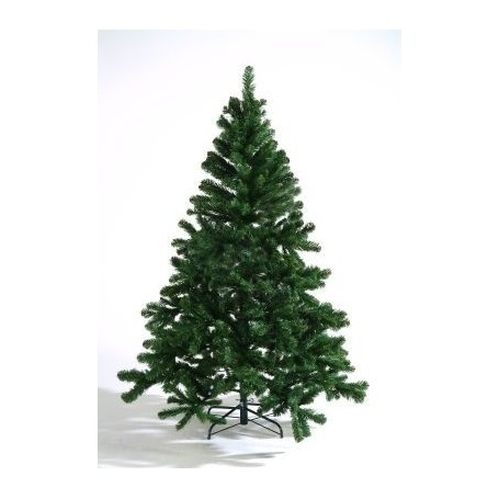 SAPIN VERT NOBLE