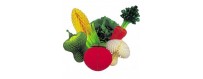 Fruits et légumes géants