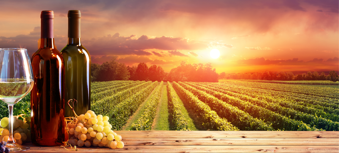 Foire aux vins de Printemps